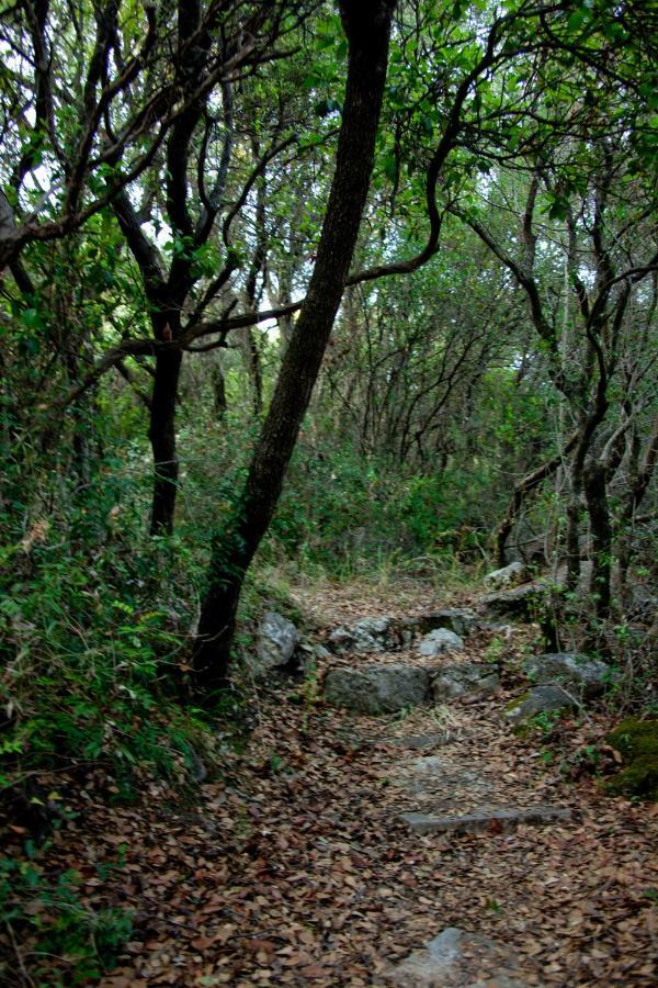 Pogoniá Villa Palmyra מראה חיצוני תמונה